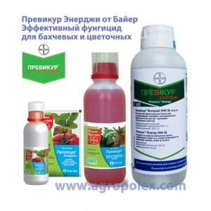 Превикур Энерджи