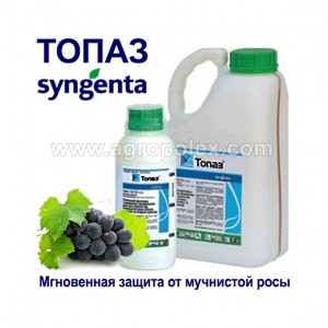 Топаз