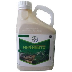 ИНФИНИТО