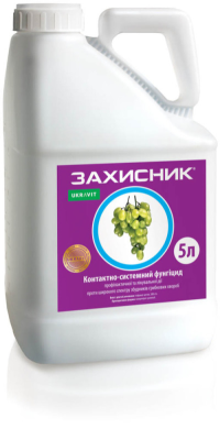 Захисник
