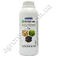 Актеллик