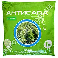 Антисапа