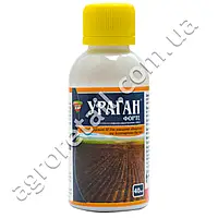 Ураган форте