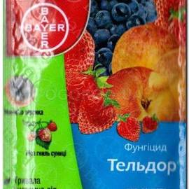 Тельдор