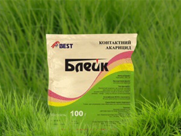 Блейк