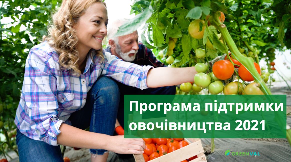 Якою буде програма підтримки овочівництва у 2021 році?