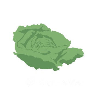 Капуста савойська, rfgecnf cfdjqcmrf