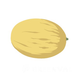 Диня посівна, lbyz gjcsdyf, диня, lbyz gjcsdyf