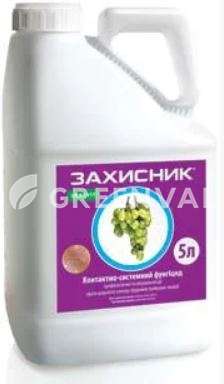 Захисник КС, pf[bcybr rc