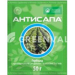 Антисапа