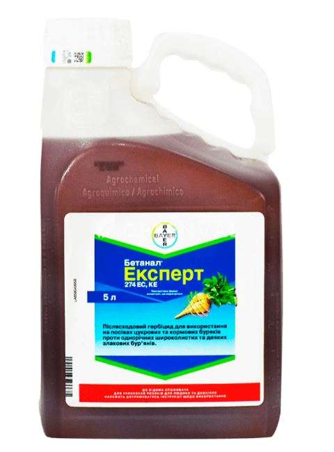 Бетанал Експерт, КЕ