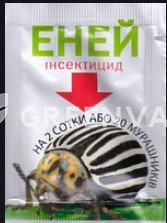 Еней, ЗП